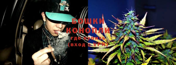 mdma Новозыбков